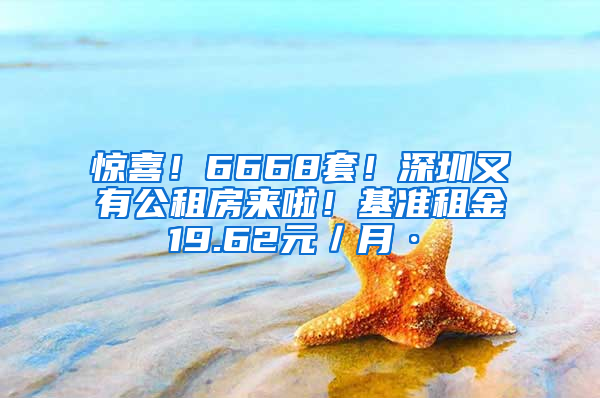 驚喜！6668套！深圳又有公租房來啦！基準(zhǔn)租金19.62元／月·㎡