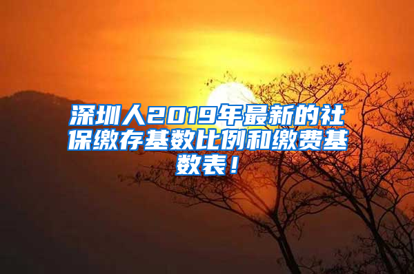 深圳人2019年最新的社保繳存基數(shù)比例和繳費基數(shù)表！