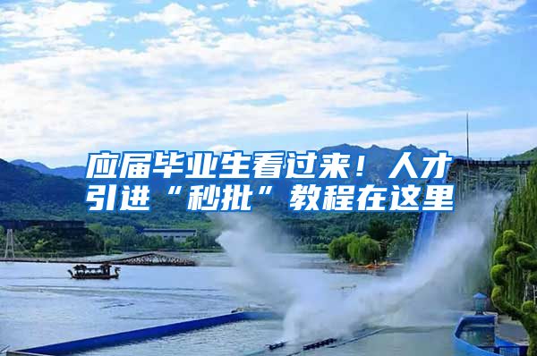 應屆畢業(yè)生看過來！人才引進“秒批”教程在這里