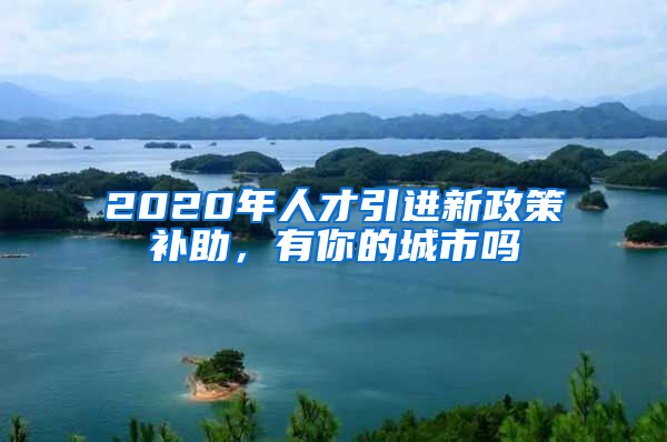 2020年人才引進(jìn)新政策補(bǔ)助，有你的城市嗎