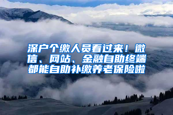 深戶個(gè)繳人員看過(guò)來(lái)！微信、網(wǎng)站、金融自助終端都能自助補(bǔ)繳養(yǎng)老保險(xiǎn)啦