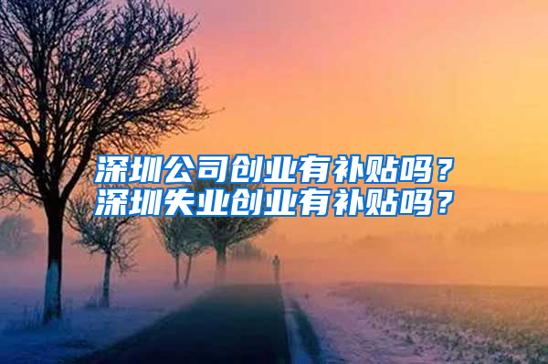 深圳公司創(chuàng)業(yè)有補(bǔ)貼嗎？深圳失業(yè)創(chuàng)業(yè)有補(bǔ)貼嗎？