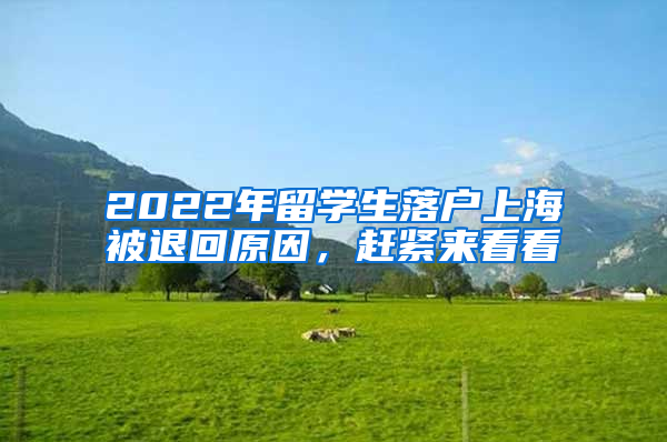 2022年留學(xué)生落戶上海被退回原因，趕緊來看看