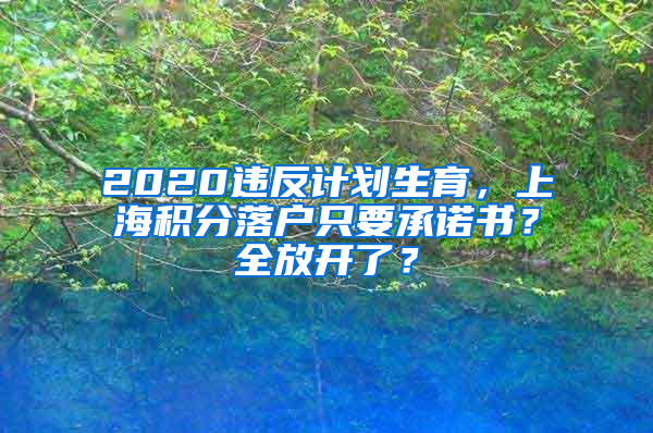 2020違反計劃生育，上海積分落戶只要承諾書？全放開了？