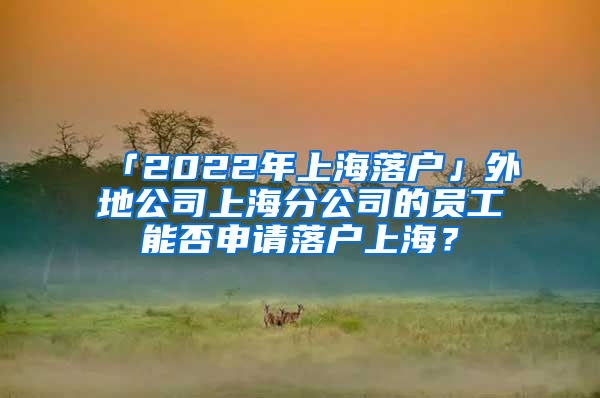 「2022年上海落戶」外地公司上海分公司的員工能否申請(qǐng)落戶上海？