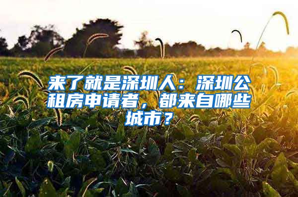 來(lái)了就是深圳人：深圳公租房申請(qǐng)者，都來(lái)自哪些城市？