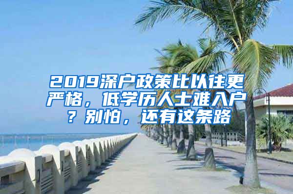 2019深戶政策比以往更嚴(yán)格，低學(xué)歷人士難入戶？別怕，還有這條路