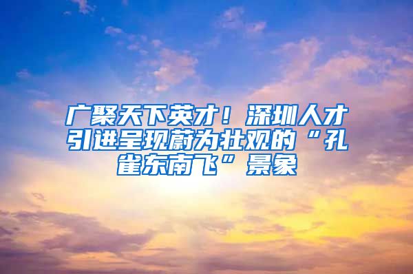 廣聚天下英才！深圳人才引進呈現(xiàn)蔚為壯觀的“孔雀東南飛”景象