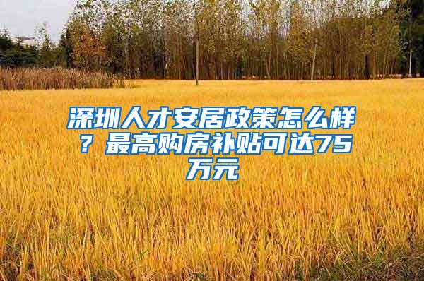 深圳人才安居政策怎么樣？最高購房補(bǔ)貼可達(dá)75萬元