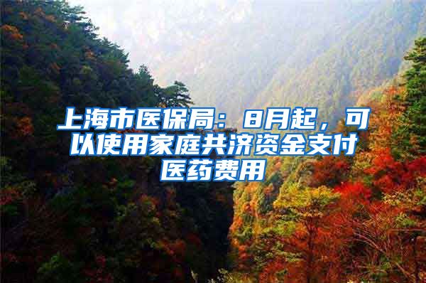 上海市醫(yī)保局：8月起，可以使用家庭共濟(jì)資金支付醫(yī)藥費(fèi)用