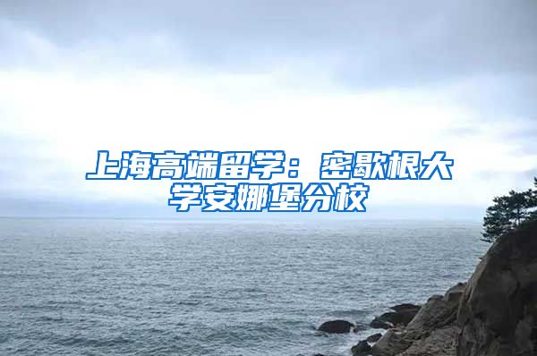 上海高端留學：密歇根大學安娜堡分校