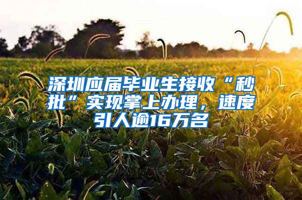 深圳應屆畢業(yè)生接收“秒批”實現掌上辦理，速度引人逾16萬名