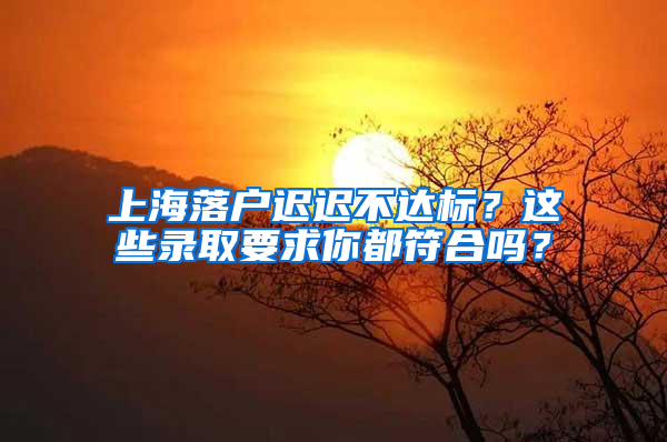 上海落戶(hù)遲遲不達(dá)標(biāo)？這些錄取要求你都符合嗎？