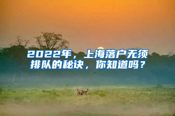 2022年，上海落戶無(wú)須排隊(duì)的秘訣，你知道嗎？