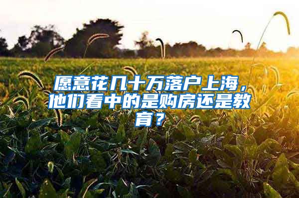 愿意花幾十萬落戶上海，他們看中的是購房還是教育？