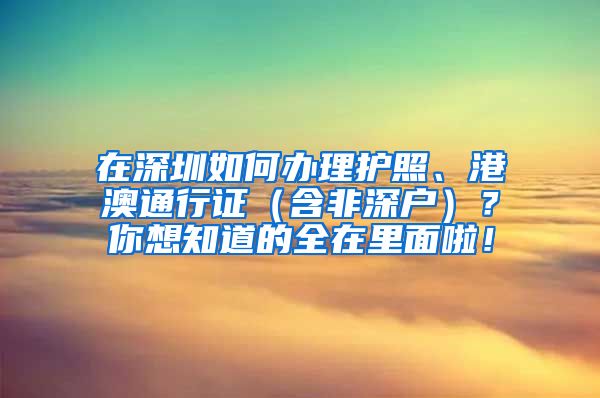 在深圳如何辦理護(hù)照、港澳通行證（含非深戶）？你想知道的全在里面啦！