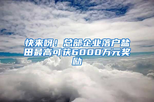 快來呀！總部企業(yè)落戶鹽田最高可獲6000萬元獎勵