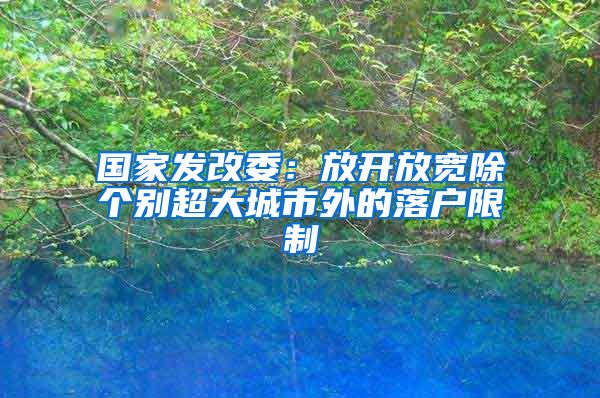 國(guó)家發(fā)改委：放開放寬除個(gè)別超大城市外的落戶限制