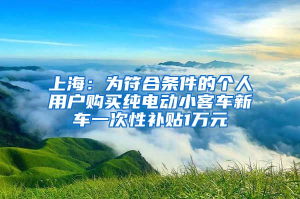 上海：為符合條件的個(gè)人用戶購買純電動(dòng)小客車新車一次性補(bǔ)貼1萬元