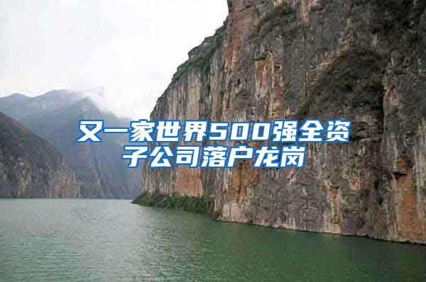 又一家世界500強全資子公司落戶龍崗