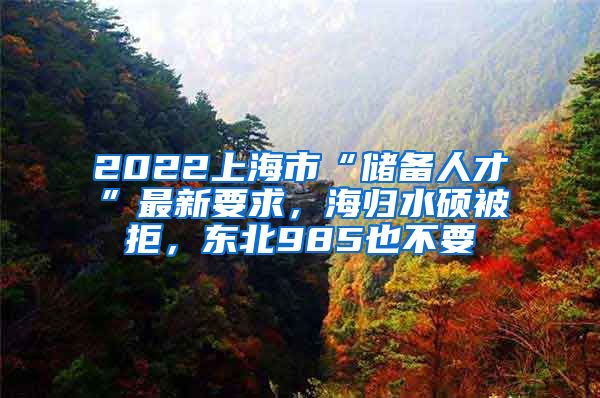 2022上海市“儲(chǔ)備人才”最新要求，海歸水碩被拒，東北985也不要