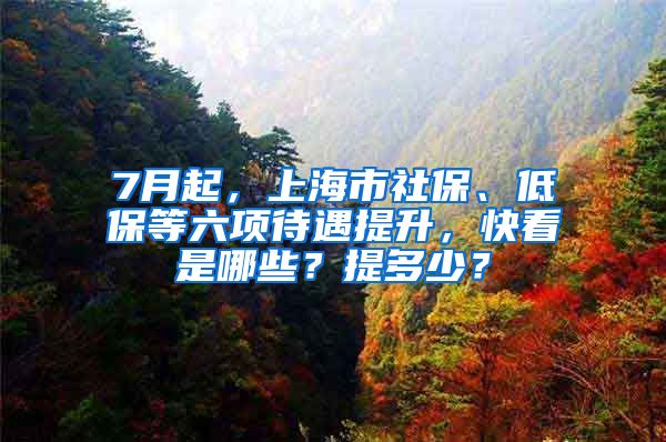 7月起，上海市社保、低保等六項待遇提升，快看是哪些？提多少？