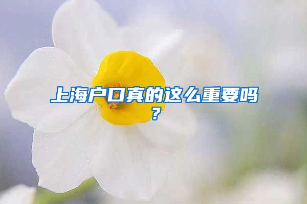 上海戶口真的這么重要嗎？