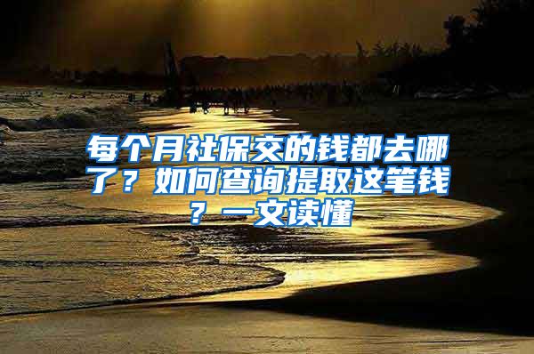 每個月社保交的錢都去哪了？如何查詢提取這筆錢？一文讀懂