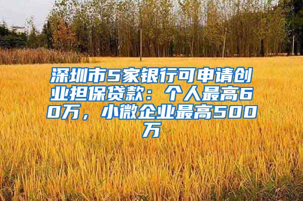 深圳市5家銀行可申請創(chuàng)業(yè)擔保貸款：個人最高60萬，小微企業(yè)最高500萬