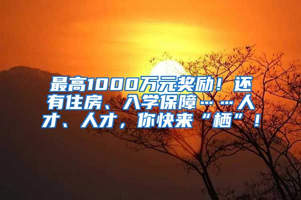 最高1000萬元獎勵！還有住房、入學保障……人才、人才，你快來“棲”！