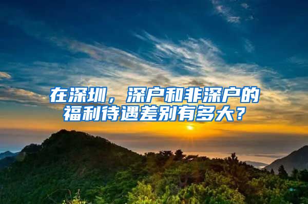 在深圳，深戶和非深戶的福利待遇差別有多大？