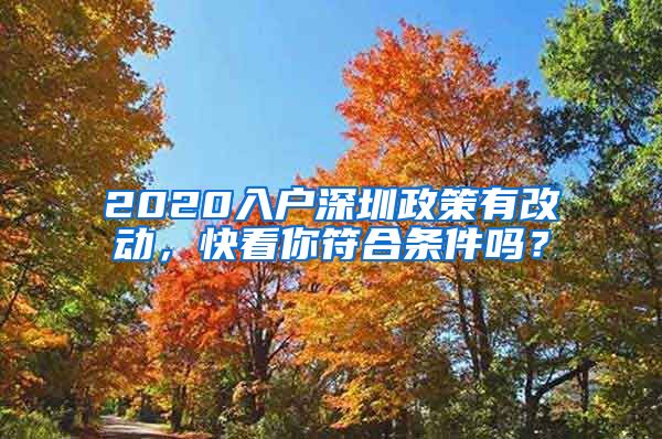 2020入戶深圳政策有改動，快看你符合條件嗎？