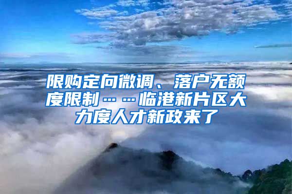 限購定向微調(diào)、落戶無額度限制……臨港新片區(qū)大力度人才新政來了