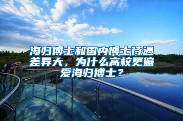 海歸博士和國內(nèi)博士待遇差異大，為什么高校更偏愛海歸博士？