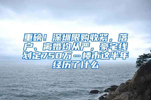 重磅！深圳限購收緊，落戶、離婚均從嚴，豪宅線劃定750萬…樓市這半年經(jīng)歷了什么