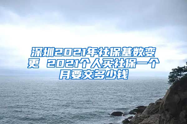 深圳2021年社?；鶖?shù)變更 2021個(gè)人買社保一個(gè)月要交多少錢