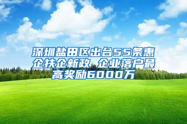 深圳鹽田區(qū)出臺(tái)55條惠企扶企新政 企業(yè)落戶最高獎(jiǎng)勵(lì)6000萬(wàn)