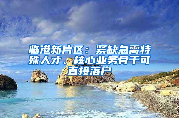 臨港新片區(qū)：緊缺急需特殊人才、核心業(yè)務(wù)骨干可直接落戶