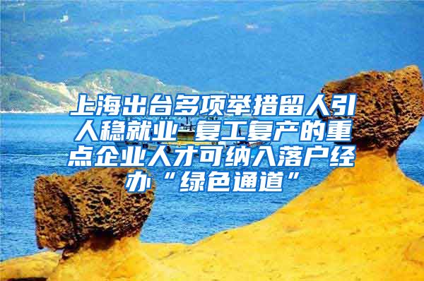 上海出臺多項舉措留人引人穩(wěn)就業(yè) 復(fù)工復(fù)產(chǎn)的重點企業(yè)人才可納入落戶經(jīng)辦“綠色通道”