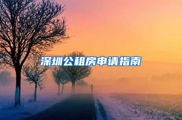 深圳公租房申請指南