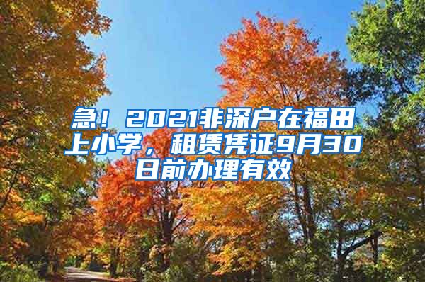 急！2021非深戶在福田上小學，租賃憑證9月30日前辦理有效