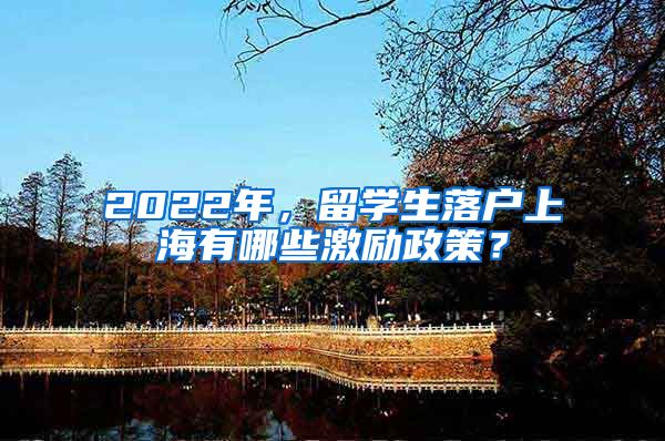 2022年，留學生落戶上海有哪些激勵政策？