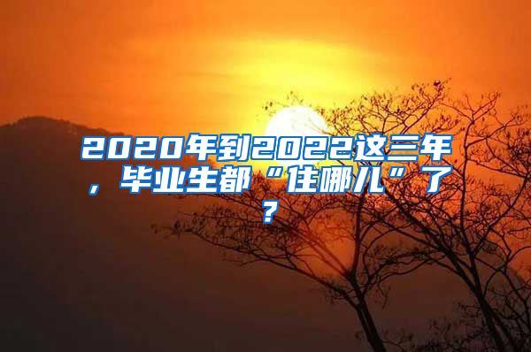 2020年到2022這三年，畢業(yè)生都“住哪兒”了？