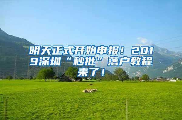 明天正式開始申報(bào)！2019深圳“秒批”落戶教程來了！