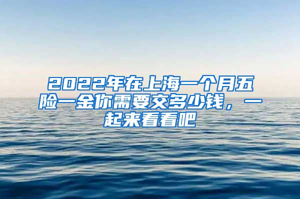 2022年在上海一個(gè)月五險(xiǎn)一金你需要交多少錢，一起來看看吧