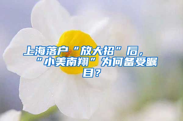 上海落戶(hù)“放大招”后，“小美南翔”為何備受矚目？