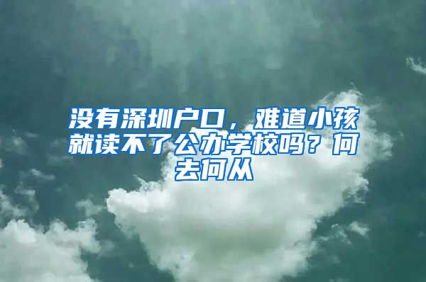 沒(méi)有深圳戶口，難道小孩就讀不了公辦學(xué)校嗎？何去何從