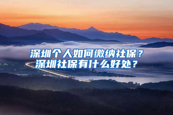 深圳個人如何繳納社保？深圳社保有什么好處？