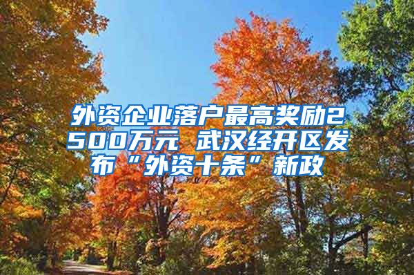 外資企業(yè)落戶最高獎(jiǎng)勵(lì)2500萬元 武漢經(jīng)開區(qū)發(fā)布“外資十條”新政