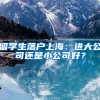 留學生落戶上海：進大公司還是小公司好？